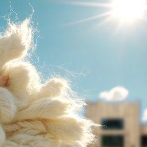 Schapenwol spinnen en vilten