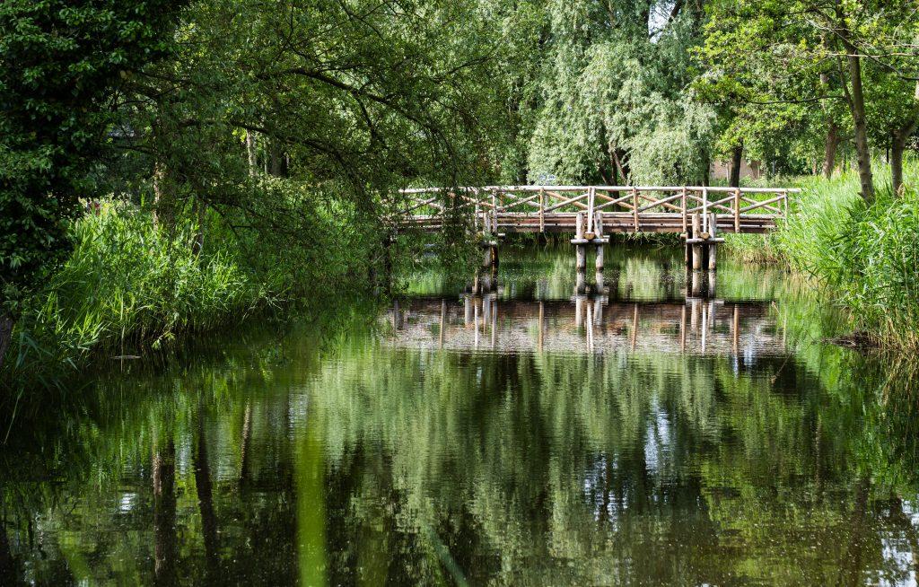 Hoe zag het waterlandschap van de Romeinse tijd eruit? En welke rol speelden kanalen, dammen en waterwerken in de infrastructuur van het Romeinse Rijk? Tijdens deze lezing vertelt archeoloog Jan Verhagen over zijn onderzoek naar de Romeinse waterwerken in de Rijn‑Maasdelta.

De lezing richt zich vooral op de twee Romeinse kanalen in de omgeving van Utrecht: de Utrechtse Vecht (kanalen van Drusus) en de Mare. Deze worden vergeleken met het Kanaal van Corbulo in Zuid‑Holland, dat op meerdere plaatsen archeologisch is onderzocht. Verhagen gaat in op de ontstaansgeschiedenis van deze verschillende typen kanalen en laat zien hoe archeologen deze structuren herkennen en onderzoeken. Ook komt de Dam van Drusus aan bod, die bij de Romeinse splitsing van Waal en Rijn lag en extra water richting Utrecht leidde.

Een lezing voor iedereen die geïnteresseerd is in Romeinse techniek, landschap en archeologie.

Over de spreker
Jan Verhagen (1949) werkte jarenlang als docent biologie en schoolleider in Zevenaar en was daarnaast actief als vrijwilliger bij de AWN Nederlandse Archeologievereniging. In 2004 maakte hij de overstap naar de beroepsarcheologie en werkte hij bij de afdeling Erfgoed in Arnhem. Sinds 2011 is hij zelfstandig archeoloog. In 2022 promoveerde hij aan de Vrije Universiteit Amsterdam op zijn onderzoek naar Romeinse waterwerken in de Rijn‑Maasdelta. Ook na zijn pensionering blijft hij actief binnen de archeologie.