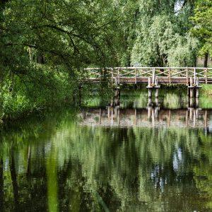 Lezing | Romeinse kanalen in Utrecht en Zuid-Holland