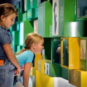 Waar zijn de dieren in het museum?